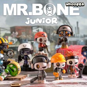 Mr. Bone JUNIOR First Day Series Blind Box